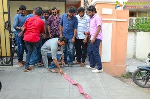 Jawan Success Celebrations