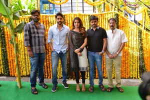 Naga Chaitanya-Anu Emmanuel