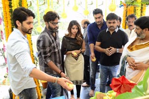 Naga Chaitanya-Anu Emmanuel