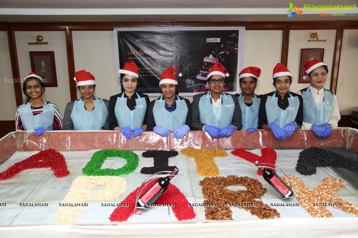 Cake Mixing Ceremony 2017 at Aditya Park