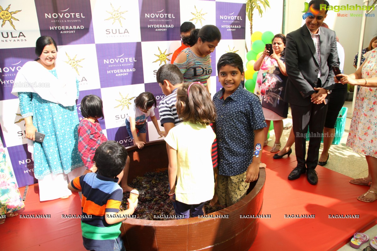 Grape Stomping and Cake Mixing Brunch 2017 at Novotel Hyderabad Airport