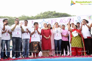 Life Again Foundation November 2017 Walk