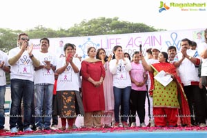 Life Again Foundation November 2017 Walk