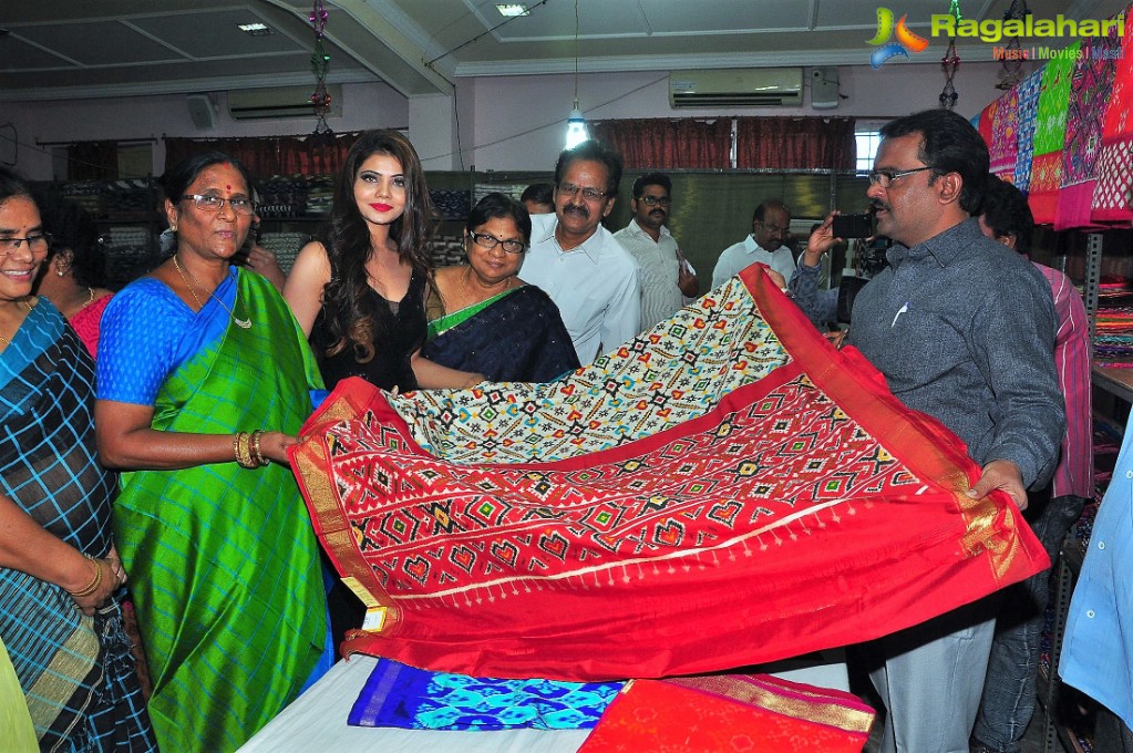 Monica Srivastava inaugurates Pochampally IKAT Art Mela, Vizag