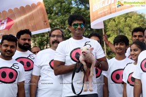 Ravi Babu's Adhugo Padayatra