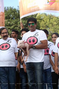 Ravi Babu's Adhugo Padayatra