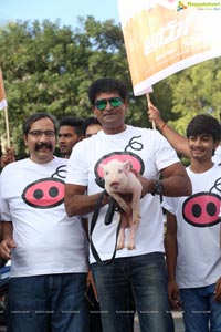 Ravi Babu's Adhugo Padayatra