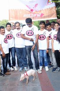 Ravi Babu's Adhugo Padayatra