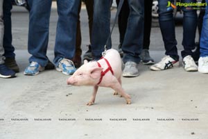 Ravi Babu's Adhugo Padayatra