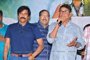 Natana Audio Launch