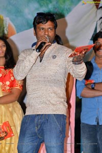 Natana Audio Launch