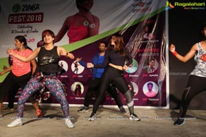 Zumba Fest 2018