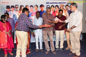 Annapurnamma Gari Manavadu Audio Launch