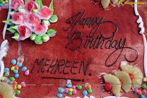 Mehreen's Birthday Celebrations