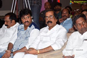 Parari Audio Launch