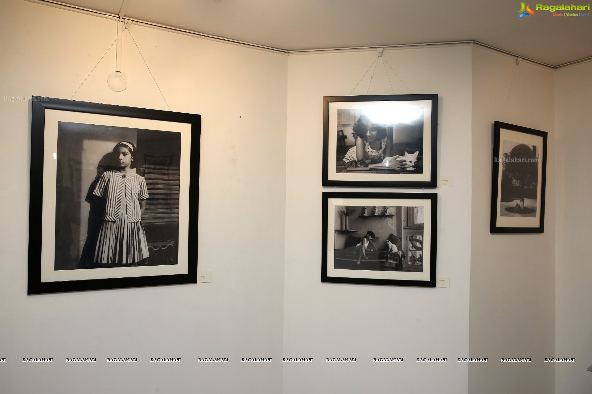 Shrishti Art Gallery Presents A Woman and her Camera - Photographs Exhibition