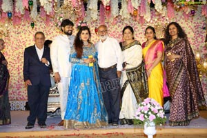 Archana Shastry and Jagadeesh Wedding