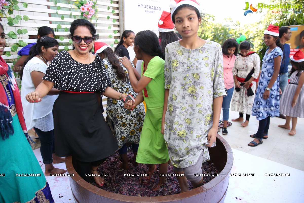 Grape Stomping & Cake Mixing Brunch 2019 at Novotel Hyderabad Airport