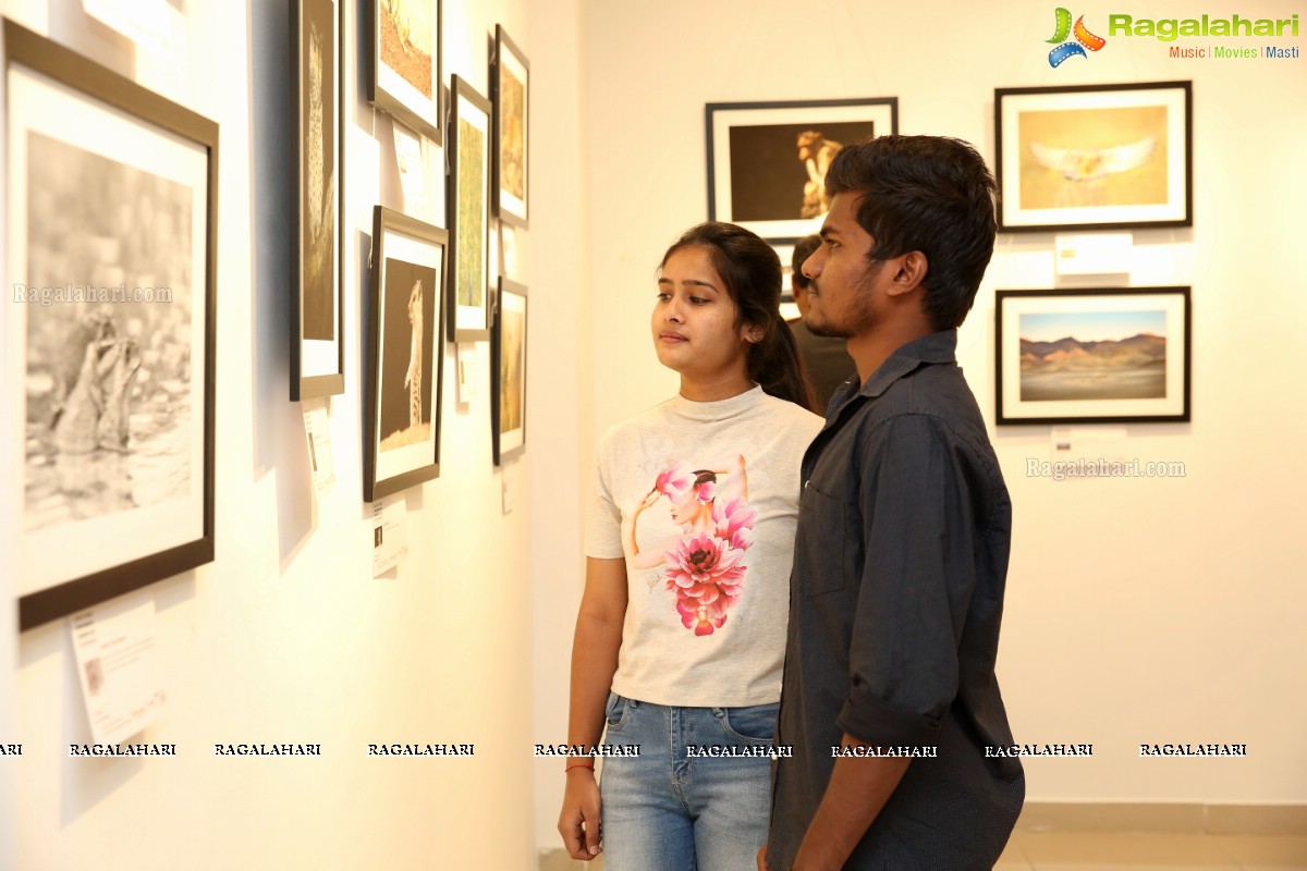 Honeycomb Photography Exhibition 2019 at State Art Gallery