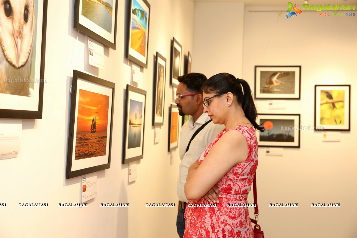 Honeycomb Photography Exhibition 2019 at State Art Gallery