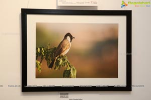 Honeycomb Photography Exhibition