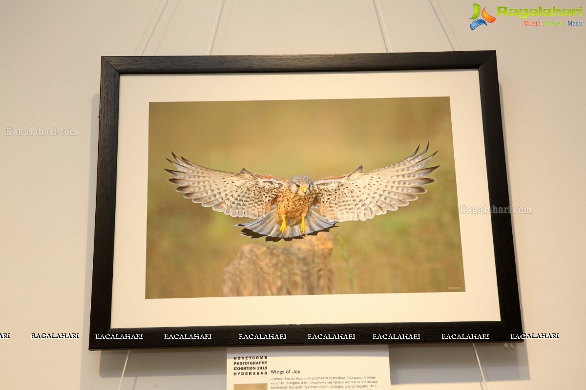 Honeycomb Photography Exhibition 2019 at State Art Gallery