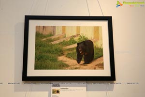 Honeycomb Photography Exhibition