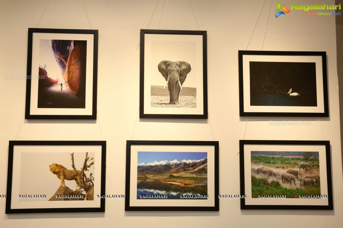 Honeycomb Photography Exhibition 2019 at State Art Gallery