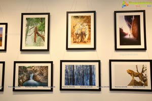 Honeycomb Photography Exhibition