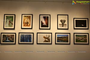 Honeycomb Photography Exhibition