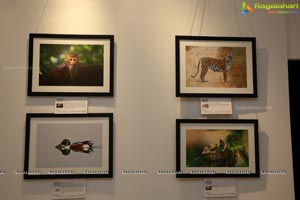 Honeycomb Photography Exhibition