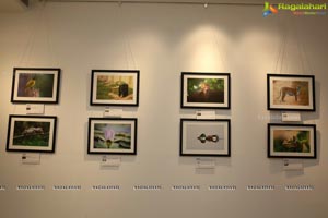 Honeycomb Photography Exhibition