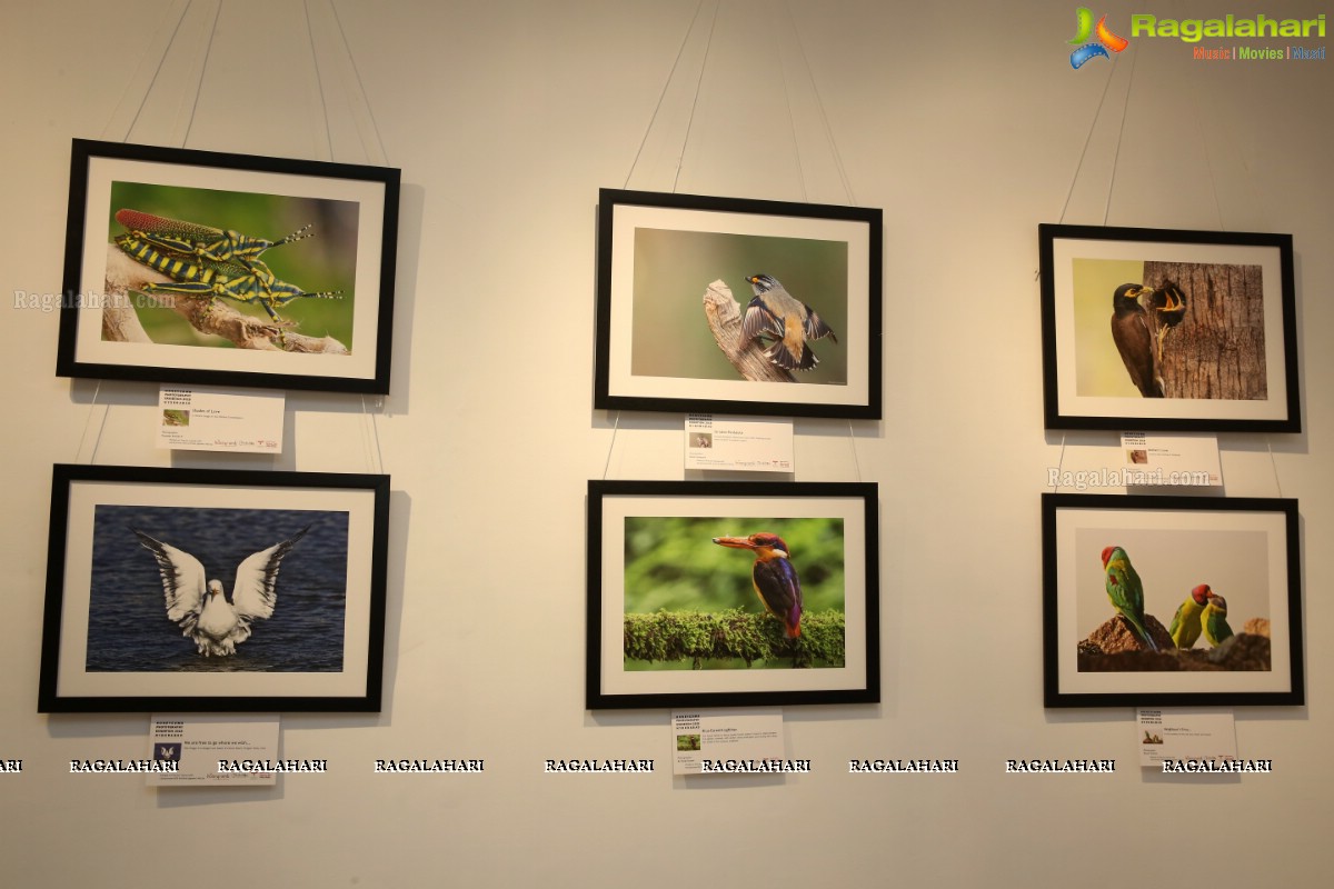 Honeycomb Photography Exhibition 2019 at State Art Gallery