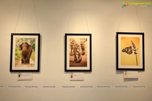 Honeycomb Photography Exhibition