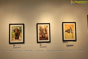 Honeycomb Photography Exhibition
