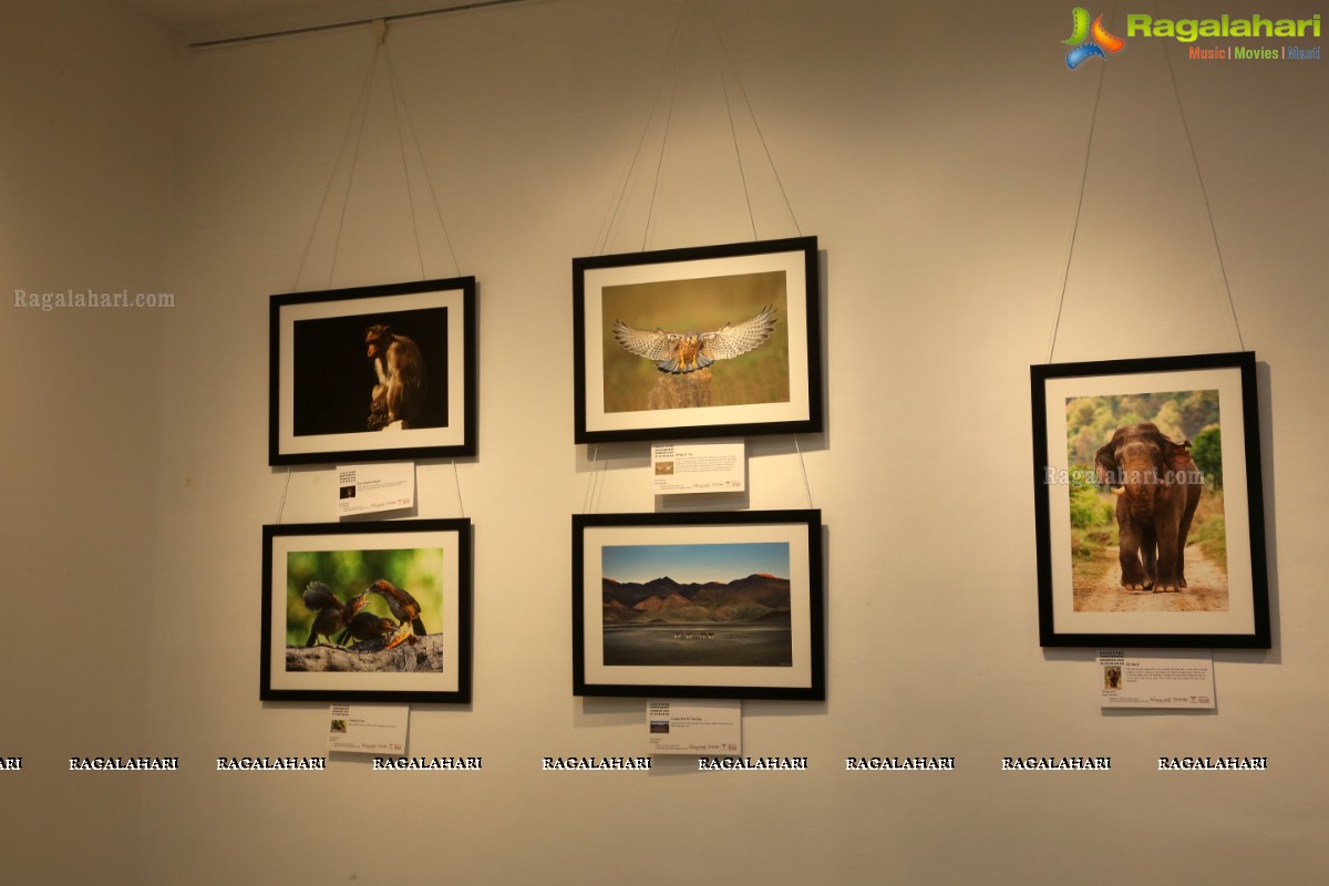 Honeycomb Photography Exhibition 2019 at State Art Gallery