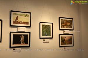 Honeycomb Photography Exhibition