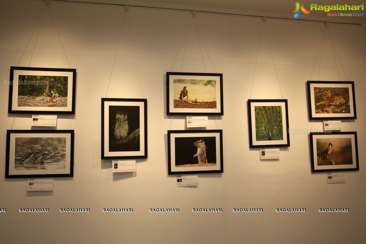 Honeycomb Photography Exhibition 2019 at State Art Gallery