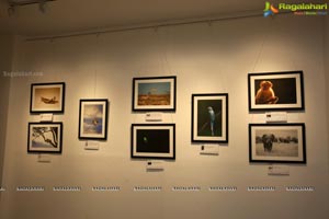 Honeycomb Photography Exhibition