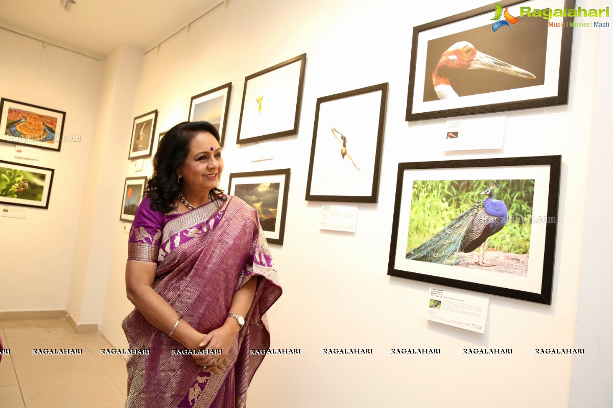 Honeycomb Photography Exhibition 2019 at State Art Gallery