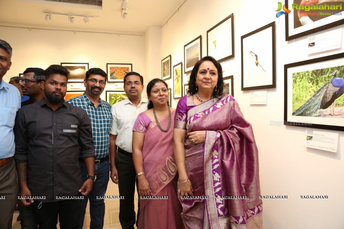 Honeycomb Photography Exhibition 2019 at State Art Gallery