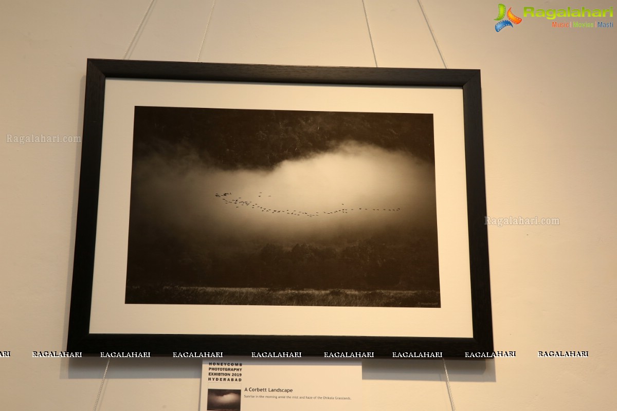 Honeycomb Photography Exhibition 2019 at State Art Gallery