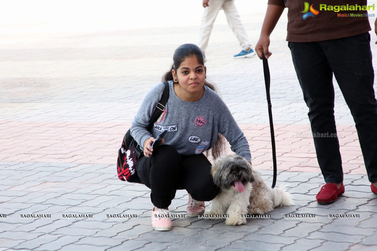 Petex India 2019 4th Edition by The Hyderabad Canine Club and Hitex