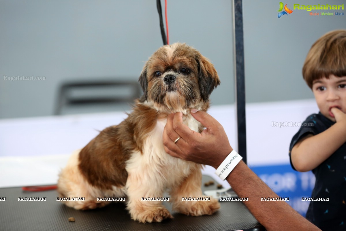 Petex India 2019 4th Edition by The Hyderabad Canine Club and Hitex