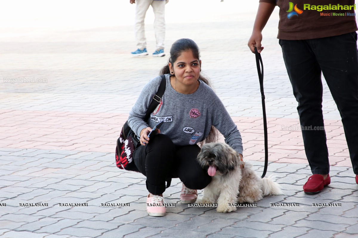 Petex India 2019 4th Edition by The Hyderabad Canine Club and Hitex