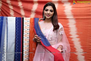 Pochampally Ikat Art Mela 2019