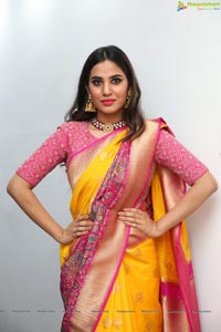 Sri Krishna Silks Exclusive Weaves Curtain Raiser