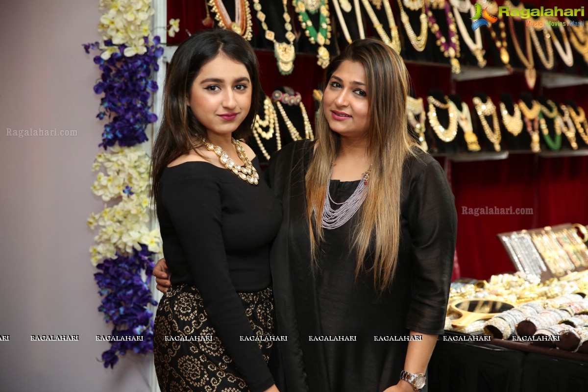 Trendz Exhibition Kicked off At Taj Krishna