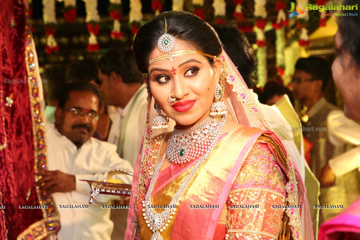 Manali Rathod and Vijith Varma's Wedding Ceremony