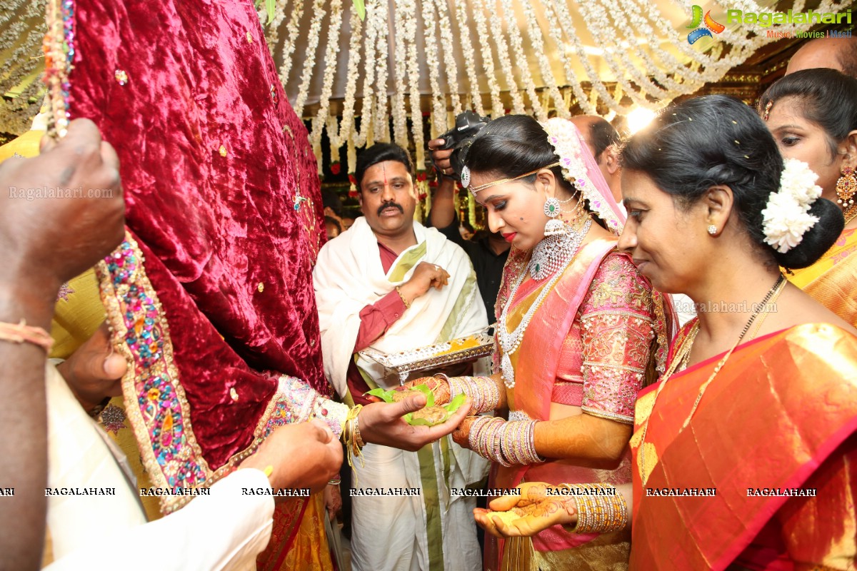 Manali Rathod and Vijith Varma's Wedding Ceremony